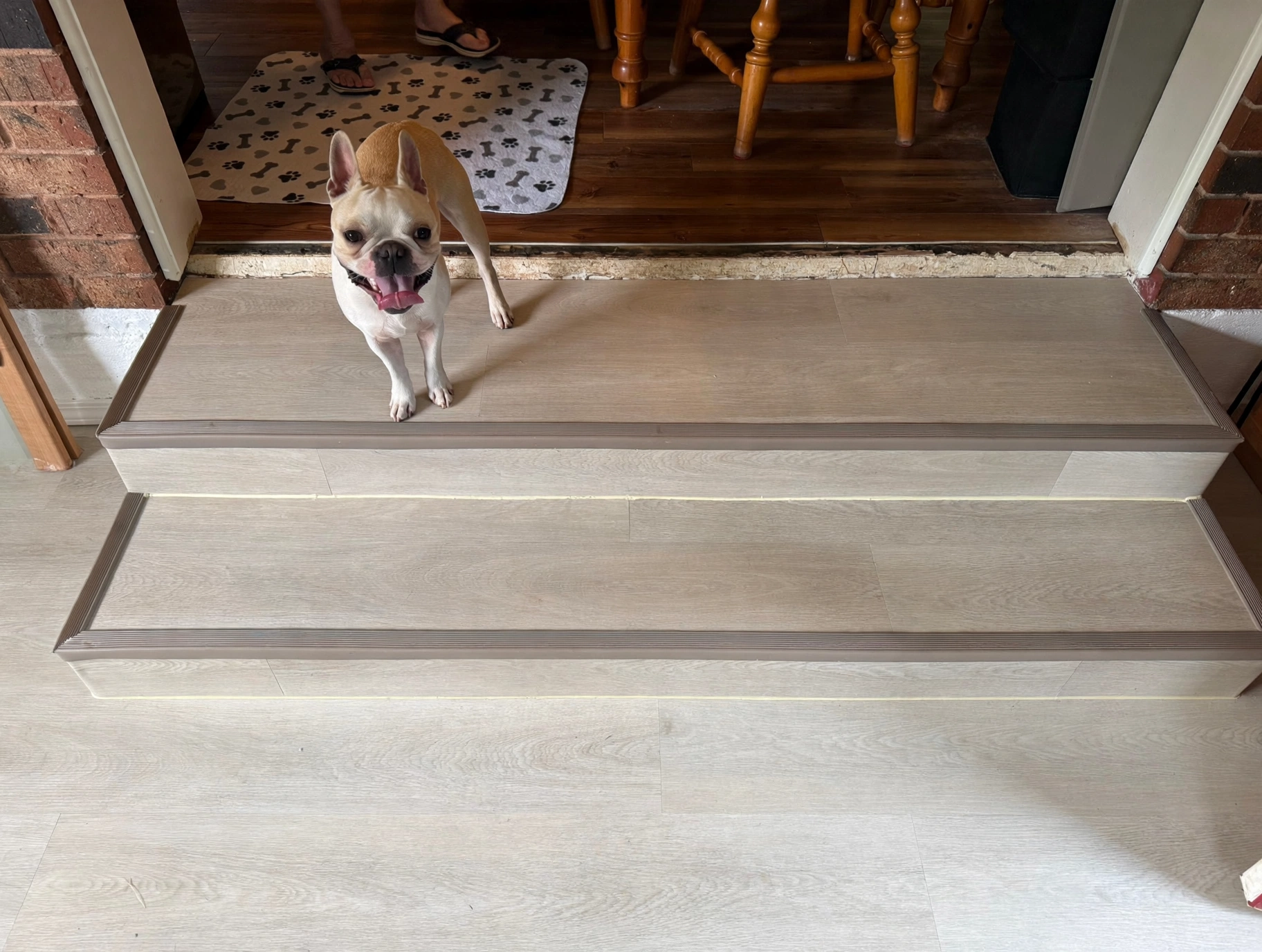 The same staircase after luxury vinyl plank installation, with a dog nearby